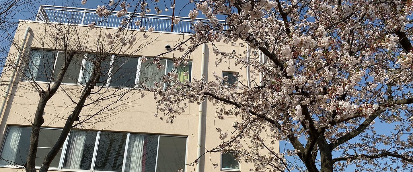 桜と北欧ジムの外観